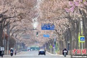 玉溪共建“花园城市” 北京这场议政会“百花齐放”